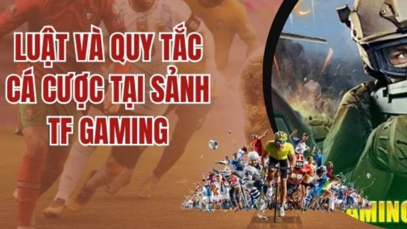  Cùng TFGaming Esports chinh phục mọi giải đấu lớn nhỏ