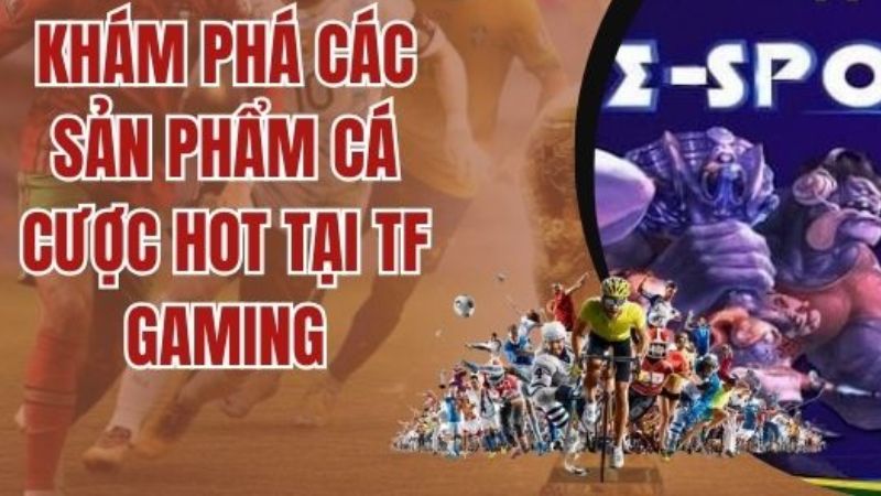 Khám phá thế giới đầy màu sắc cùng TFGaming Esports