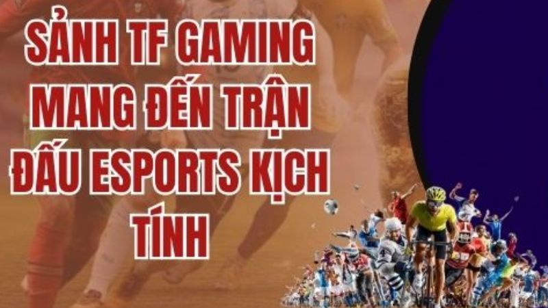 TFGaming Esports Nâng Tầm Trải Nghiệm Cá Cược Hiện Đại