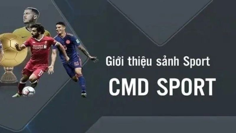 Thể Thao CMD  Điểm Đến Dành Cho Người Đam Mê Thể Thao